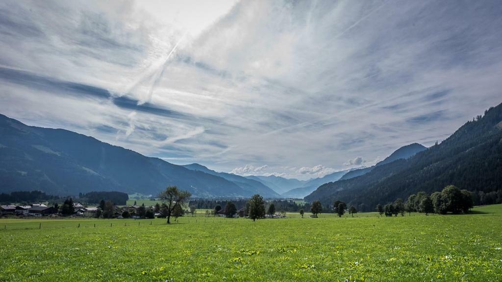 Haus Moesenlechner Maishofen